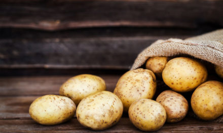Τι πρέπει να γνωρίζετε για τις πατάτες που προορίζονται για μακροχρόνια συντήρηση σε ψυκτικούς θαλάμους